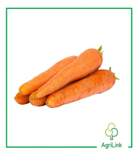 1 tas de Carottes fraîches