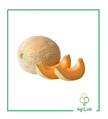 Melon local – 1 Kg