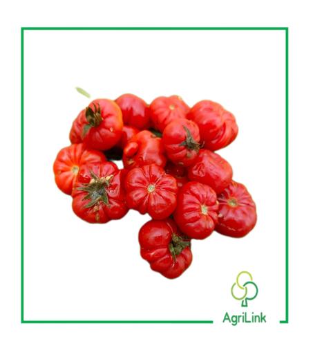 Tomate Africaine ( 1 barquette)