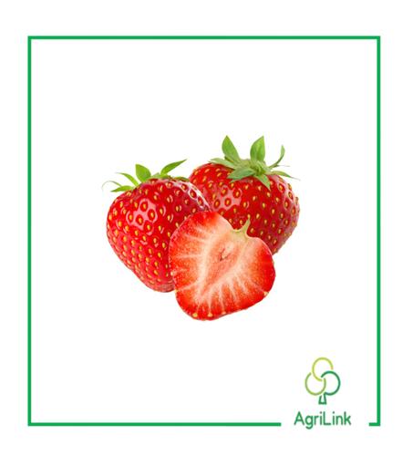 Fraises fraîches [1kg]