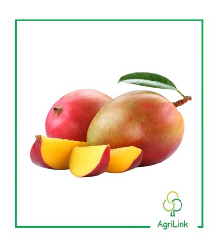 Mangue – 1 Kg