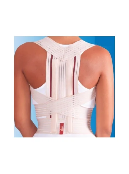 CASE REDRESSE DOS TAILLE S REF HB 5247