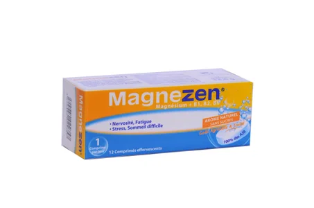 MAGNEZEN CO B12 COMP EFFER PM