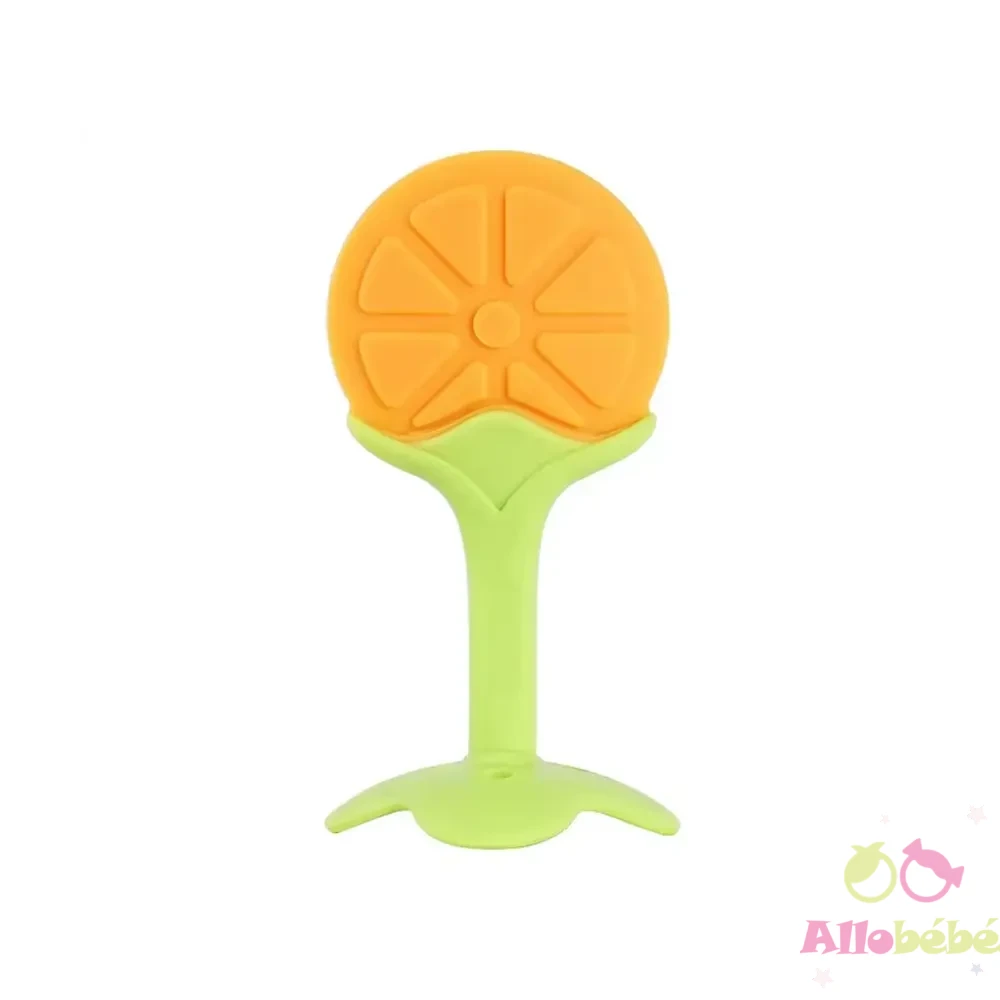 NOTRE BEBE ANNEAU DE DENTITION ORANGE REF RD253B