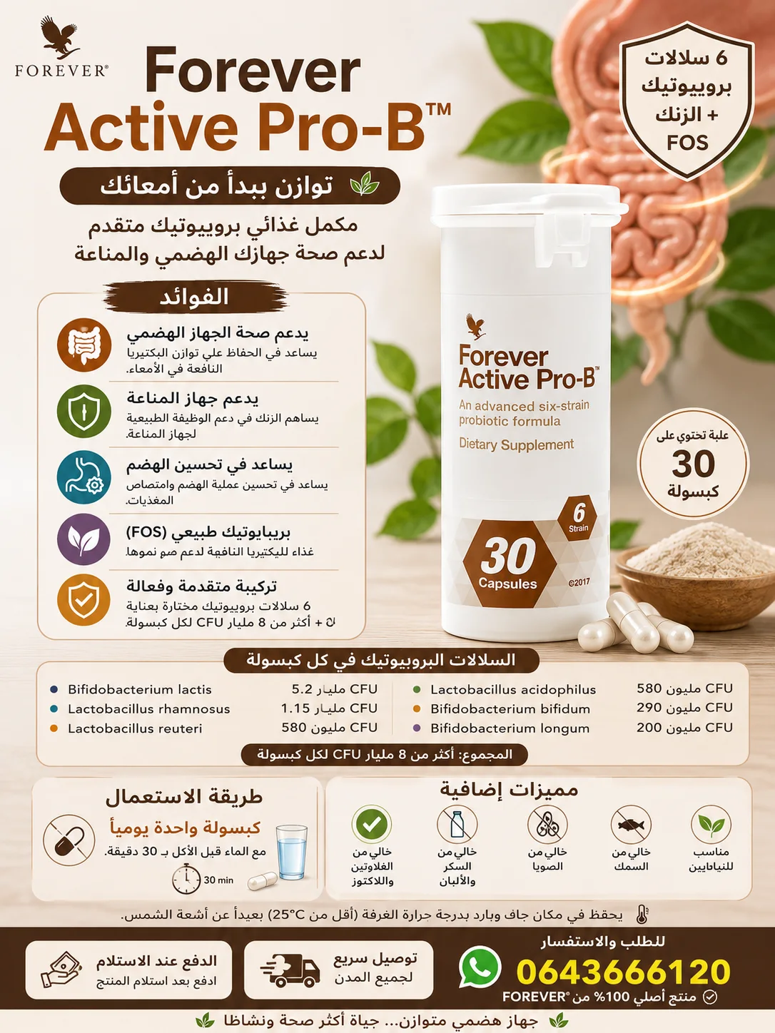 فوريفر اكتيف برو ب