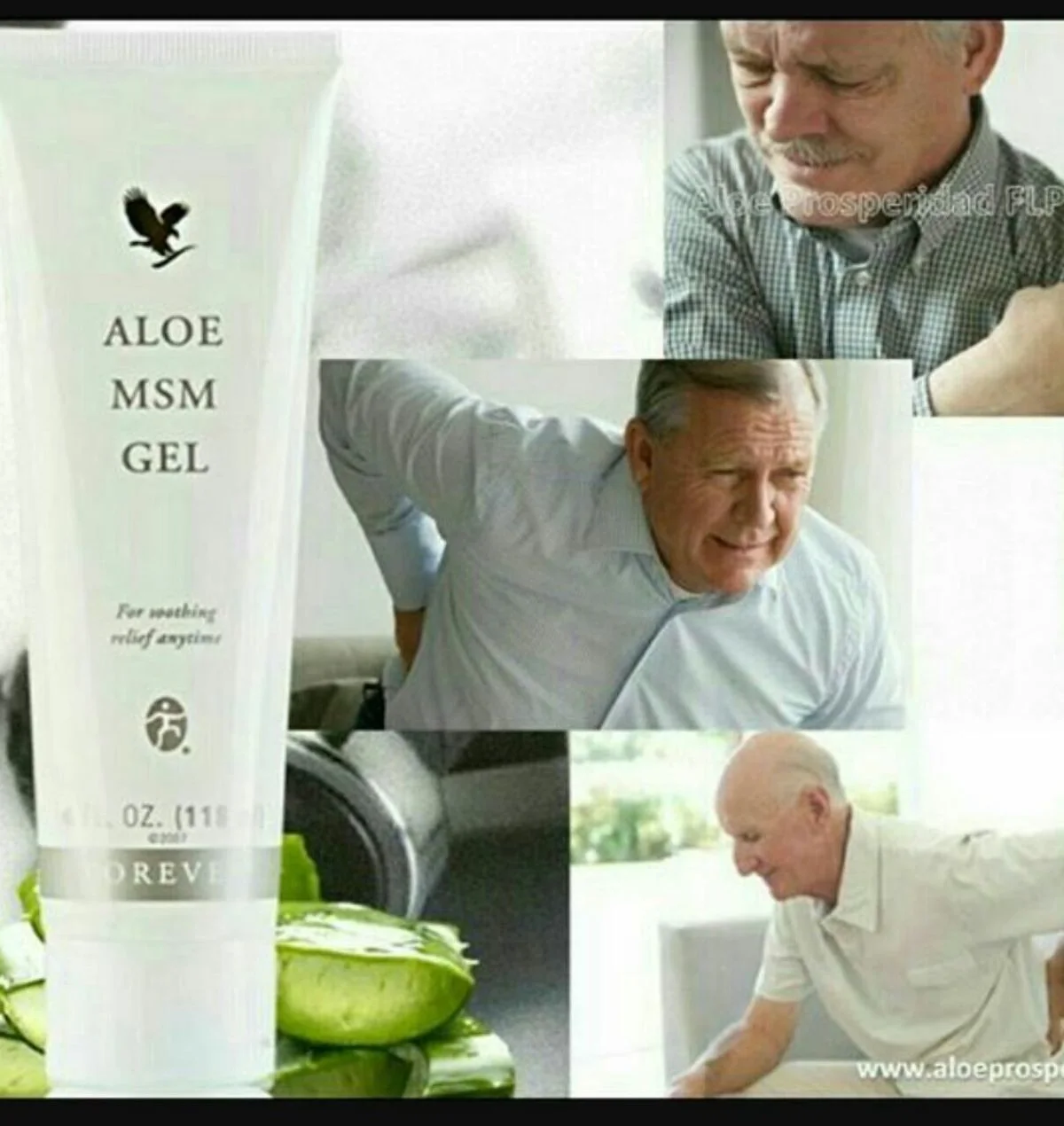 ألو إم أس إم جل فوريفر Aloe MSM Gel جل لألام المفاصل