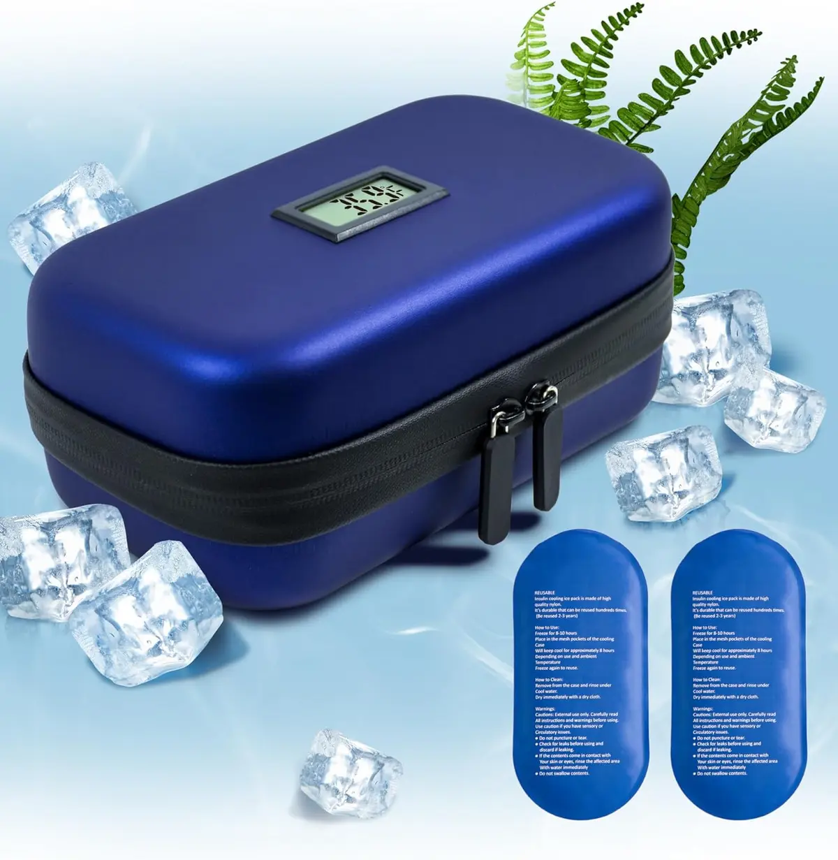 حاوية الأنسولين والأدوية