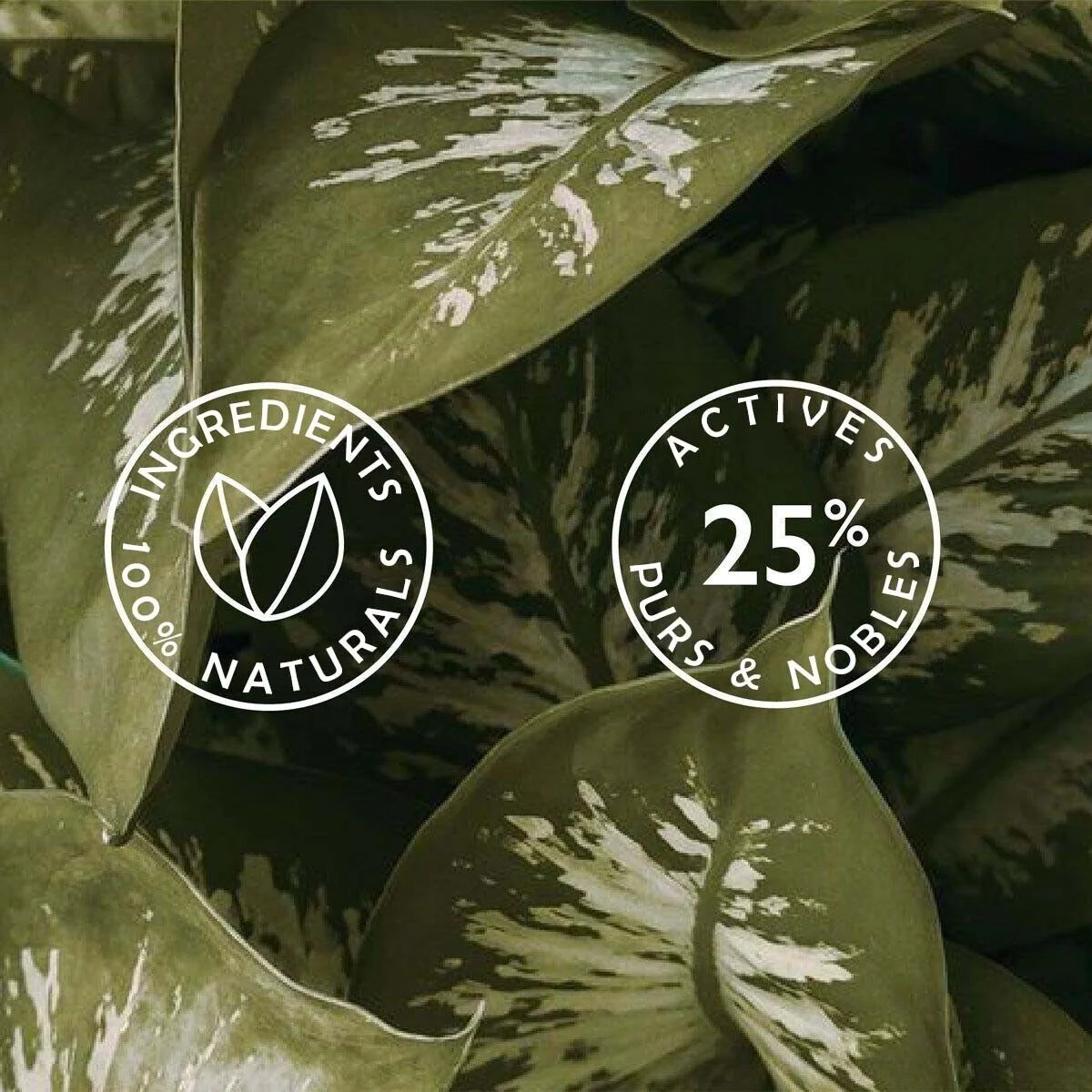 زيت الأفغان للشعر سر القوة واللمعان الطبيعي 🌿✨