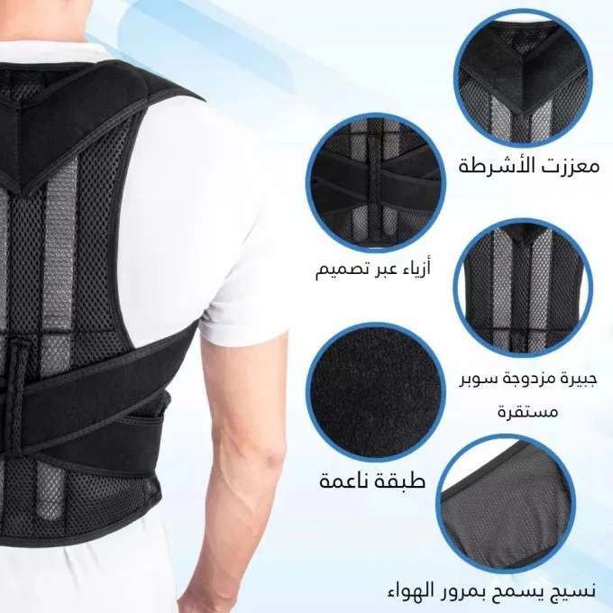حزام الظهر