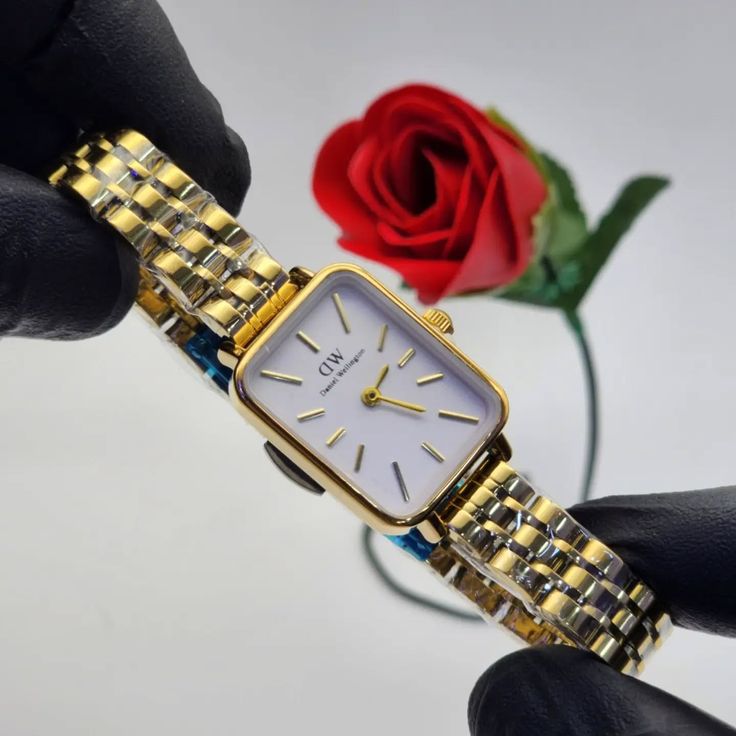 Daniel wellington pour femmes