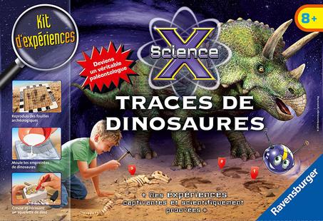 Traces De Dinosaures -JEU SCIENTIFIQUE