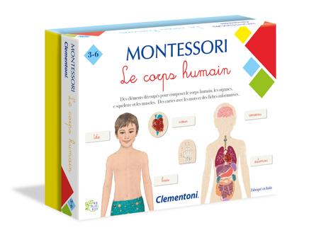 Montessori -Le corps humain
