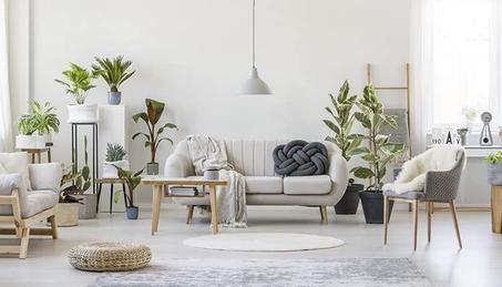 المنزل والمطبخ | Home & Kitchen