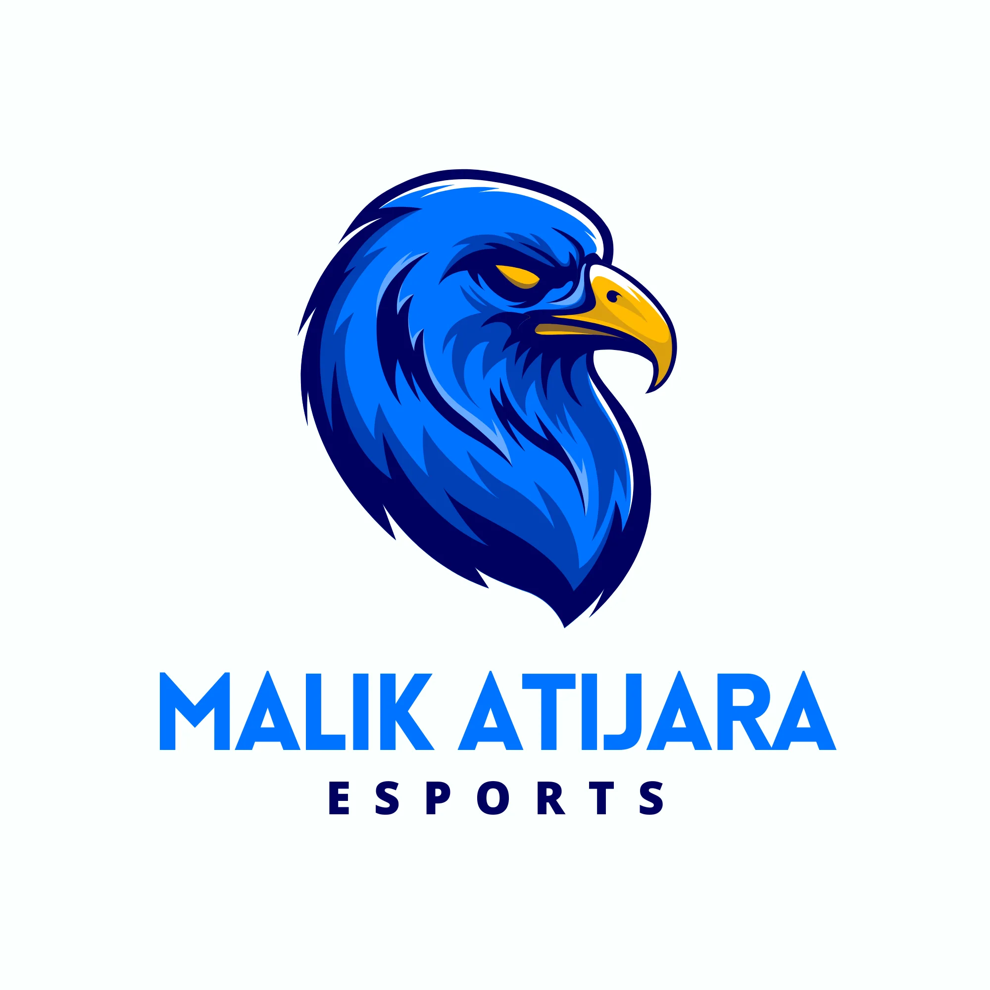 malik l7tita
