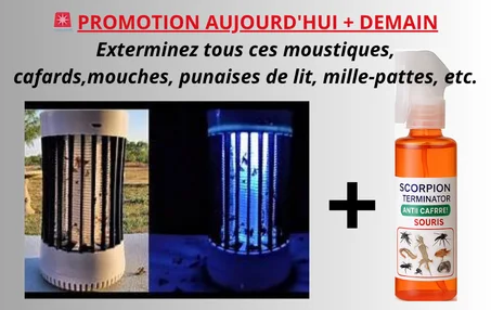 LAMPES UV ANTI-MOUSTIQUES /ANTI-INSECTES, la solution pratique contre les moustiques, mouches, punaises de lit, cafards etc.