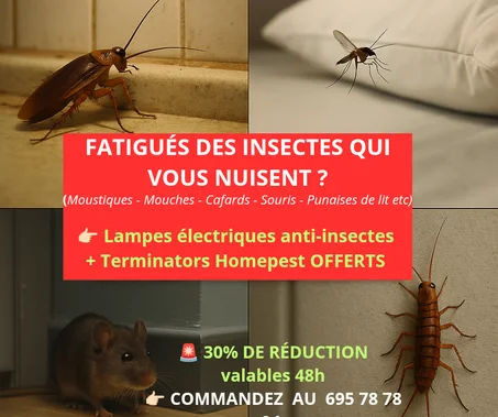 Lampes électriques Anti-moustiques Anti-insectes + Terminator Anticards/Souris 🦟🦗🐵🐒   MOSQUITO KILLER LAMPS +HOMEPEST TERMINATOR