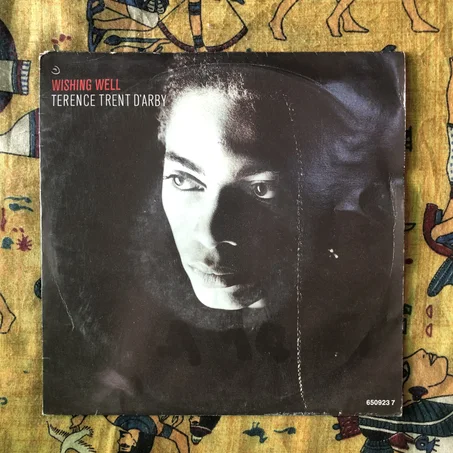 Terence Trent D'Arby – Wishing Well
