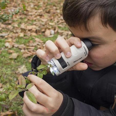 المنظار العجيب