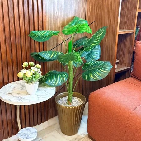 palm monstera