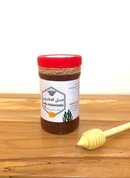 عسل الدغموس  Daghmos honey
