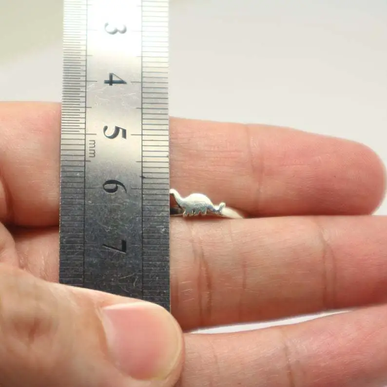 Dinosaur Couple Rings