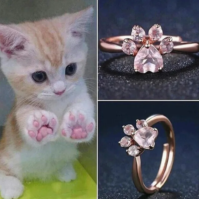 Carry Your Love for Cats Everywhere You Go 🐾💕