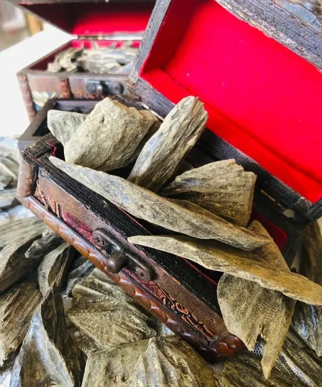 عود كمبودي أزرق  (للغرام)