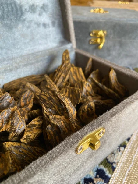 عود كلمنتان فاخر  (للغرام)