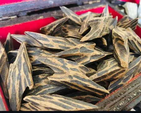 عود تايكر فتنامي ملكي  (للغرام)