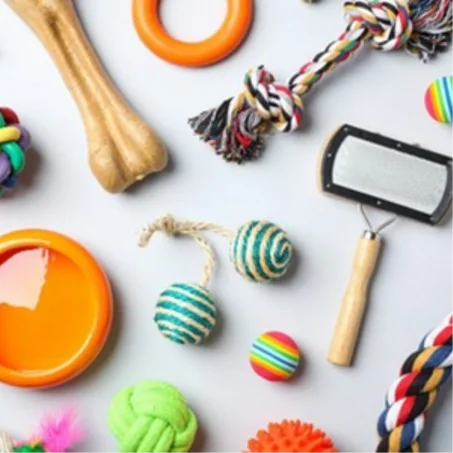 Accessoires pour chats