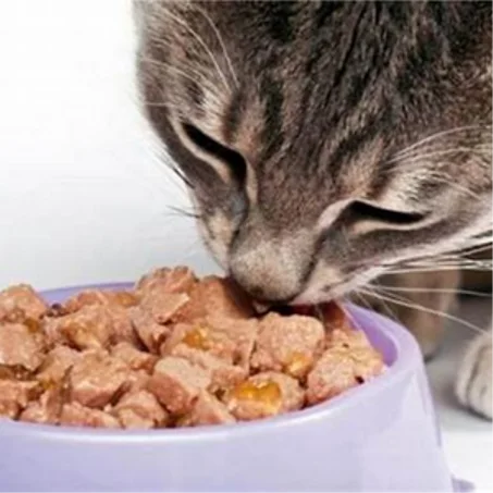 Aliments pour chats
