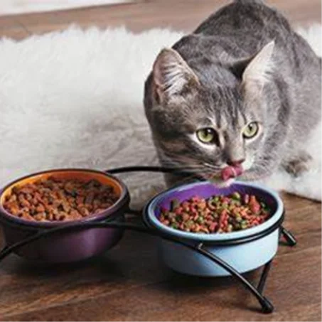 Croquettes pour chats