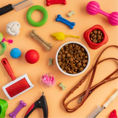 Accessoires pour chiens