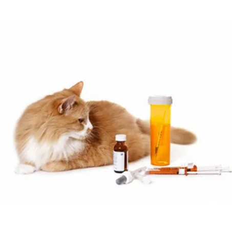 Médicaments pour chat