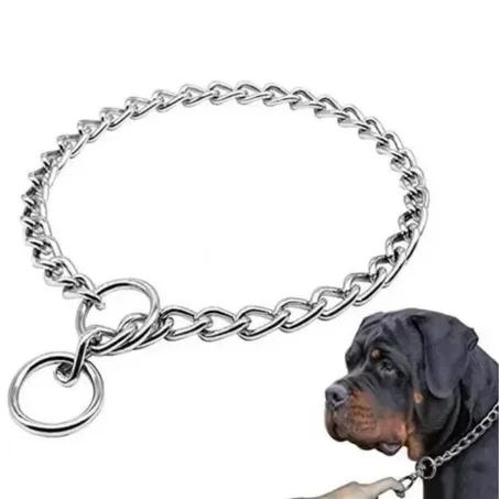 collier étrangleur pour chien