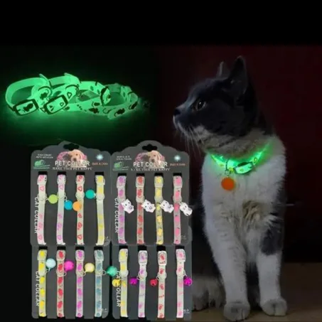 Collier lumineux pour chat et chiot