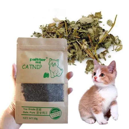 Herbe à chat Catnip naturel