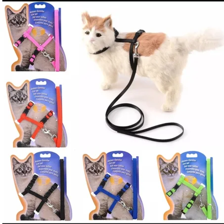 harnais avec laisse pour chat