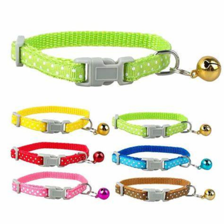 Collier Coloré pour Chat