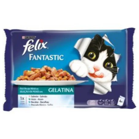 felix fantastique 4 pochon 100g