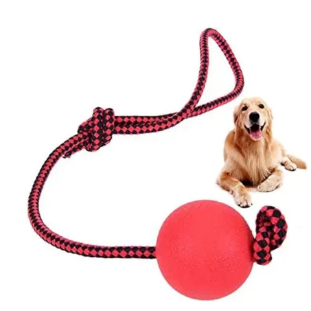 balle de jeu et entrainement pour chien