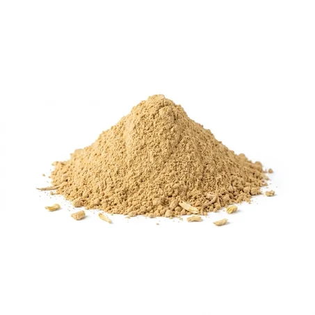 زنجبيل