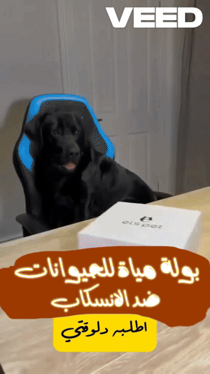 بولة مياة للحيوانات ضد الانسكاب 🚚✨