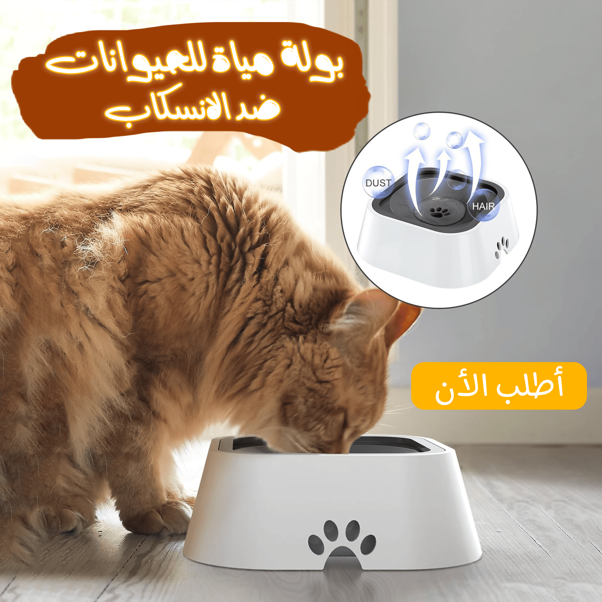 بولة مياة للحيوانات ضد الانسكاب 🚚✨