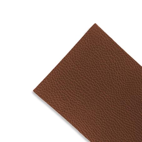 معالج الجلود السحري