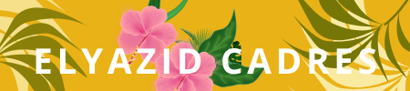 elyazidcadres