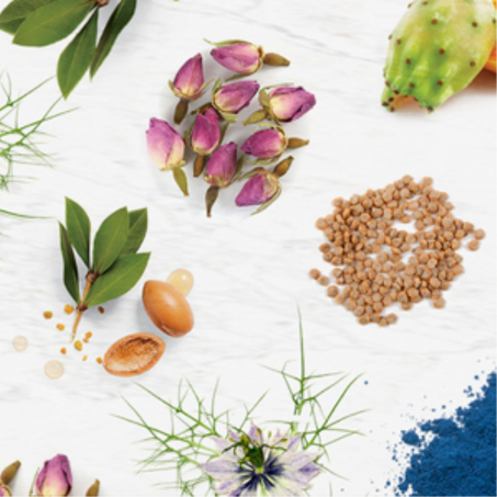 Herbes Cosmétiques - الأعشاب التجميلية