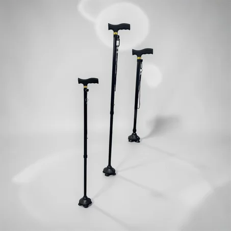 التصنيف الأول