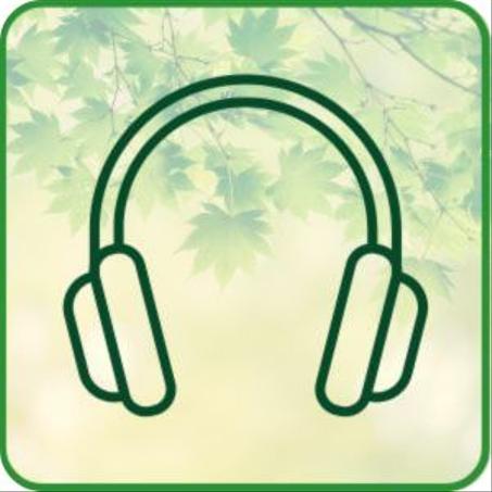 إلكترونيات