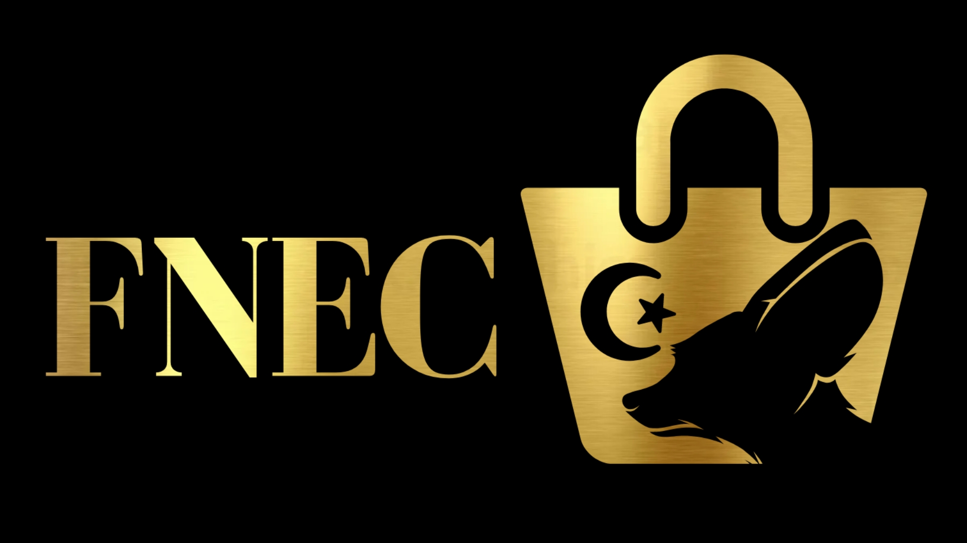 fnecDZ